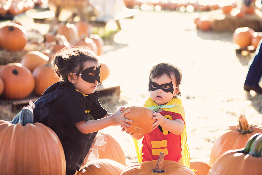 Cute Halloween costumes for sisters robin and batman