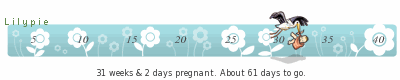 Lilypie Pregnancy tickers